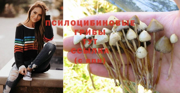 винт Верхнеуральск