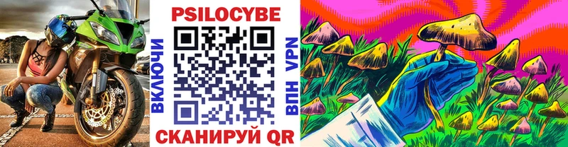 Псилоцибиновые грибы GOLDEN TEACHER  Гаджиево 